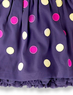 Spotted Embroidery Dress Image 2 of 3