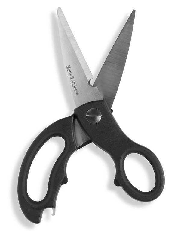 Stainless Steel Scissors Image 1 of 1