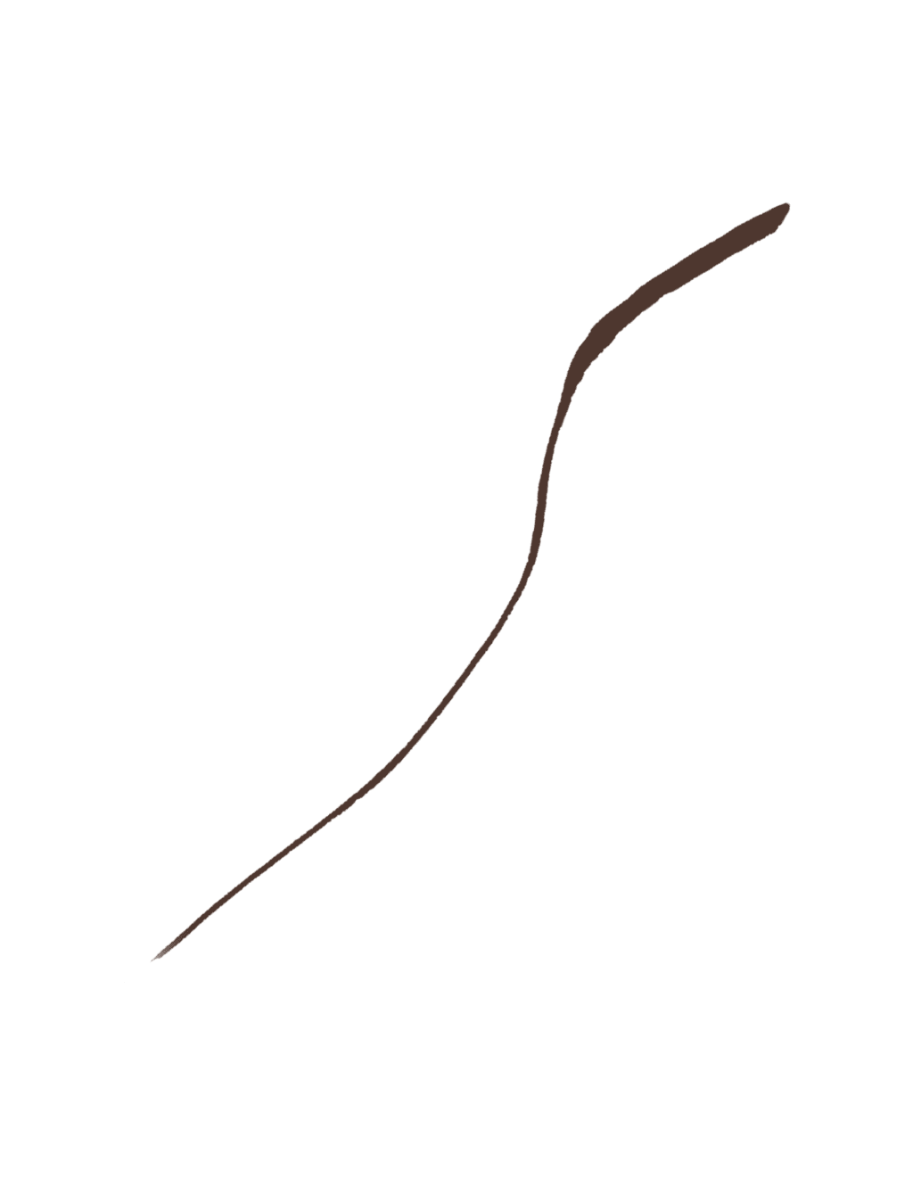 Stay All Day® Waterproof Liquid Eye Liner Micro Tip 0.5ml 2 of 3