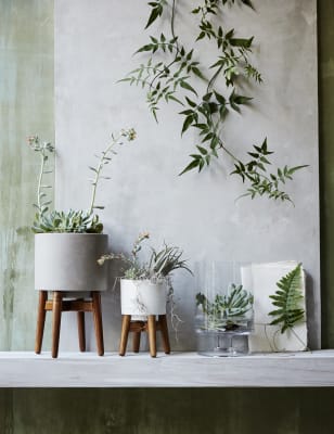 Stoneware Planters With Stand M S