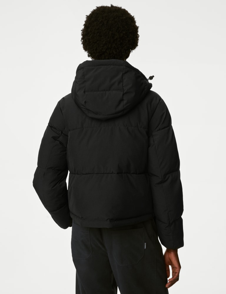 Petite hooded crop padded store coat