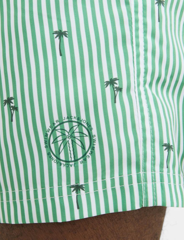 Striped Embroidered Swim Shorts 4 of 4