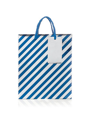 Striped Medium Gift Bag Image 2 of 3