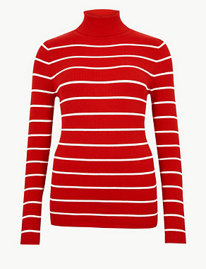 Striped Roll Neck Jumper Image 2 of 4