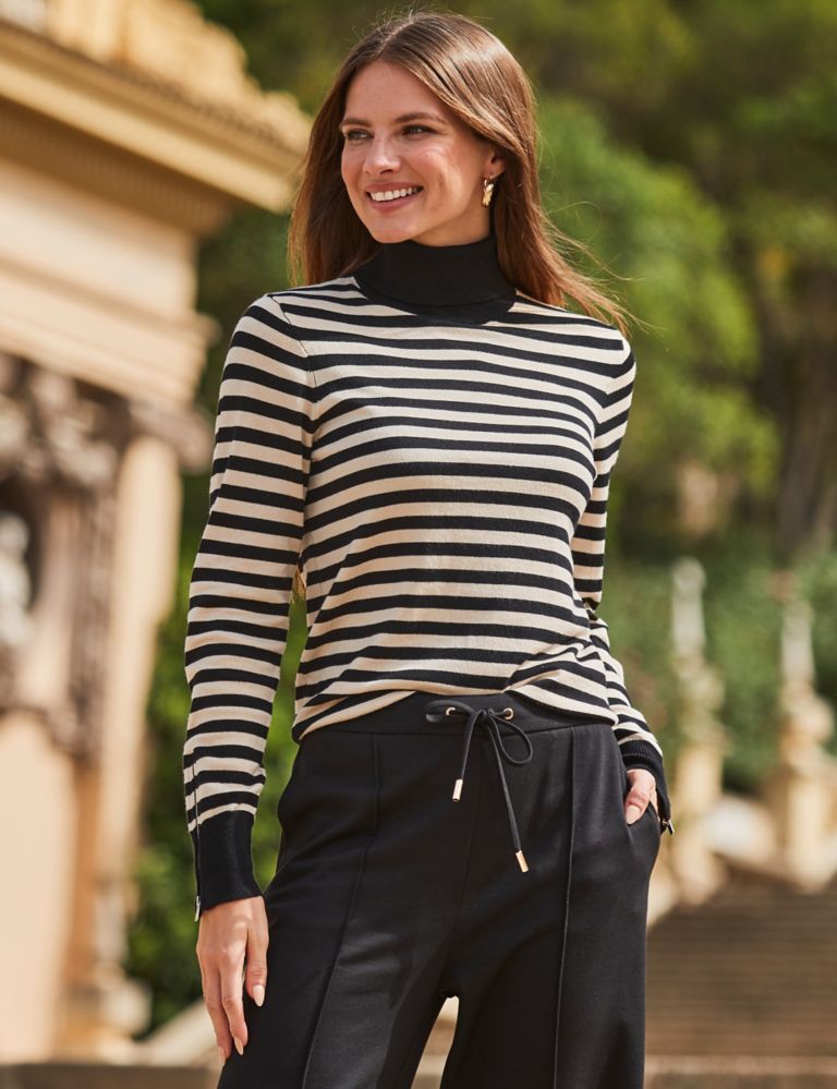 Striped Roll Neck Jumper 4 of 5