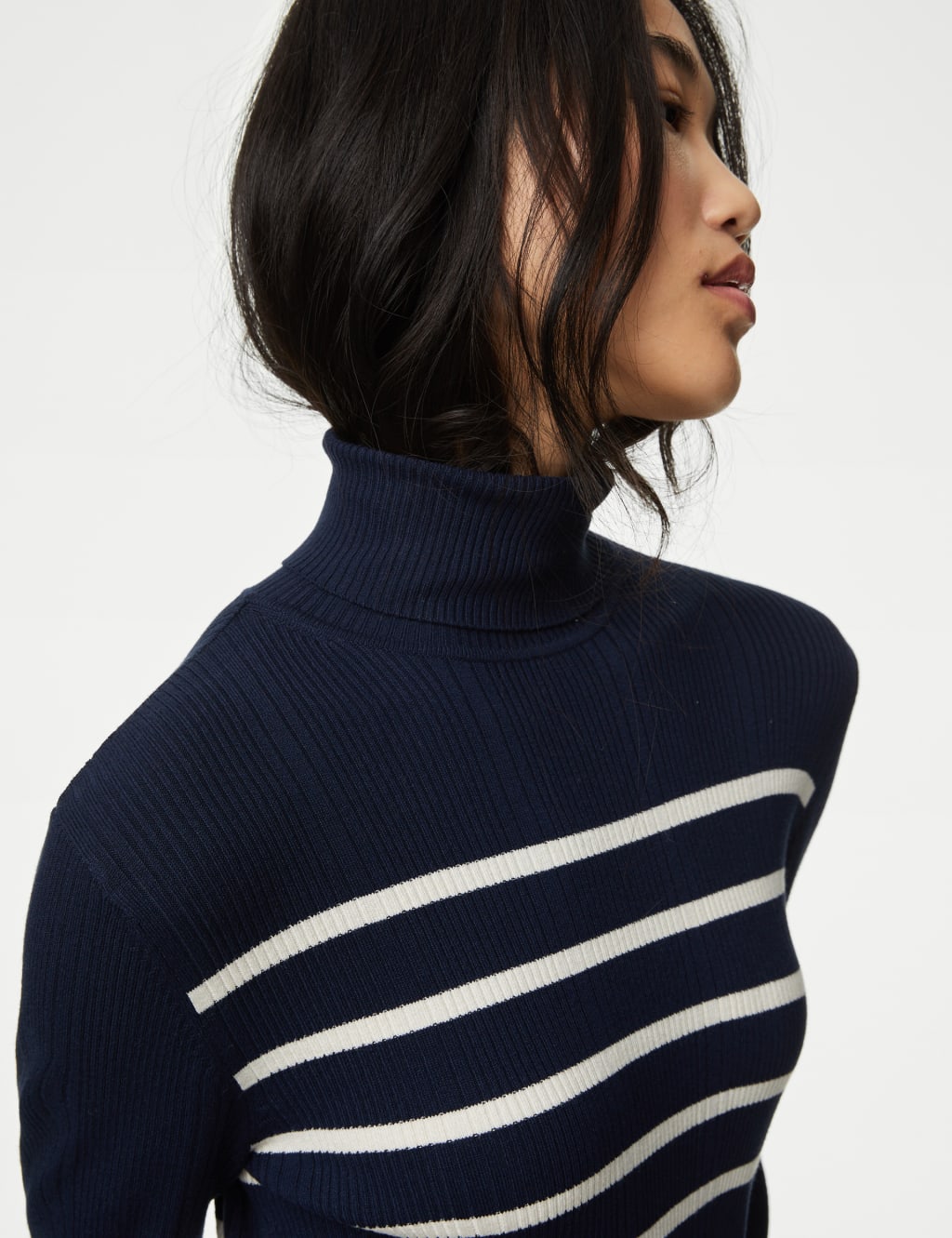 Striped Roll Neck Knitted Top