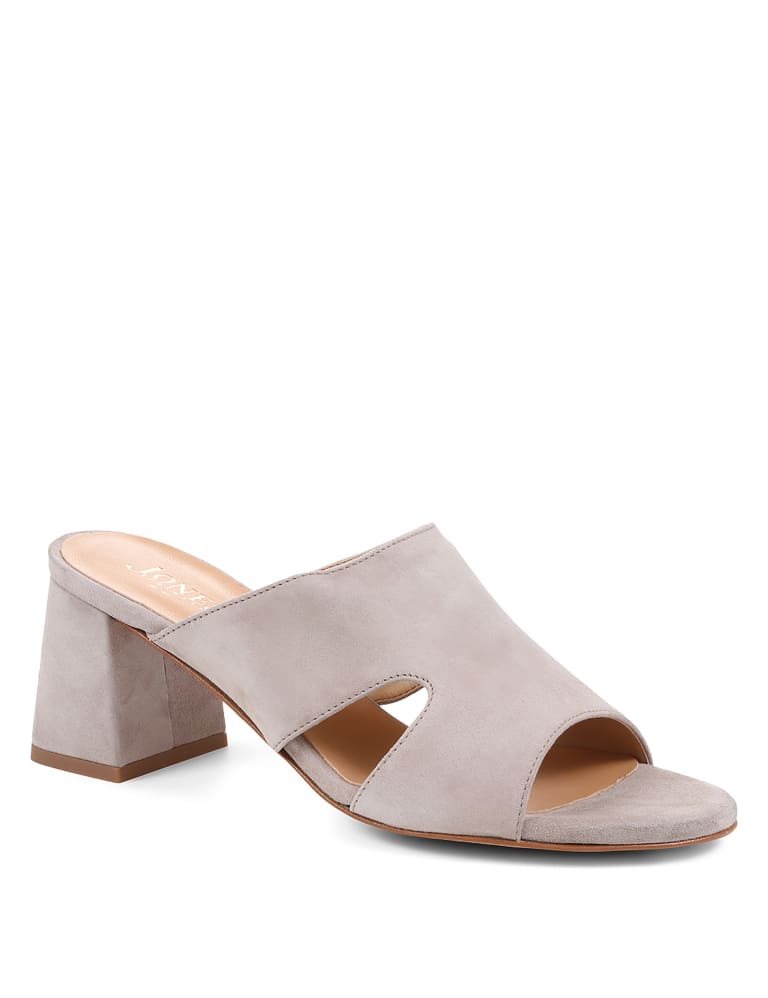 Suede Block Heel Mules