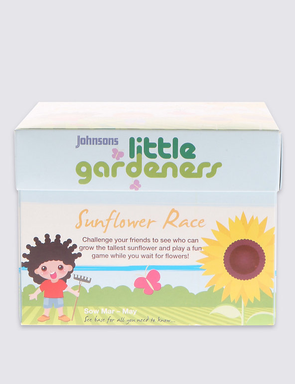 Sunflower Race Game Image 1 of 2