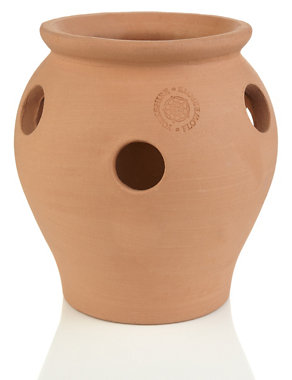 Terracotta Strawberry Pot Image 2 of 3