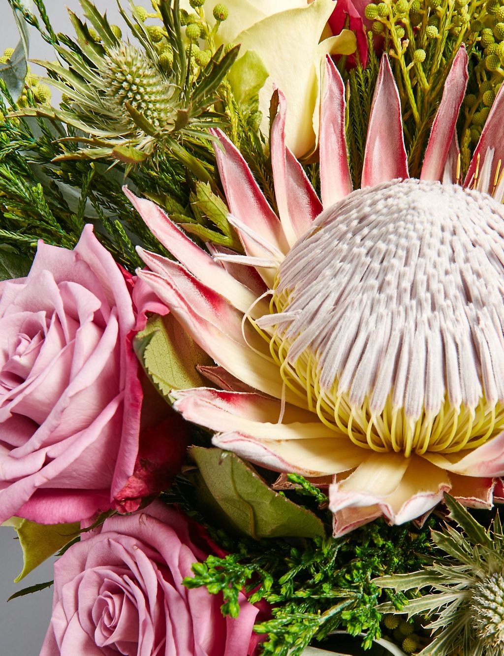 The Collection Luxury King Protea Bouquet 5 of 6