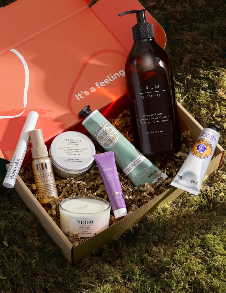 The Wellness Box 2024