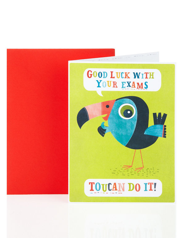 Toucan Exam Good Luck Greetings Card Image 1 of 1