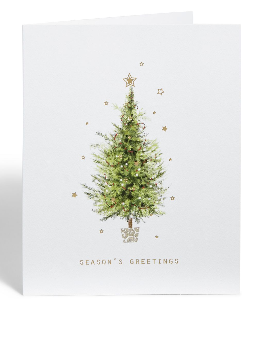 Tree, Spruce and Wreath Christmas Cards - Pack of 20 5 of 6