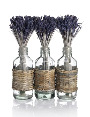 Trio Lavender Glass Bottles M&S