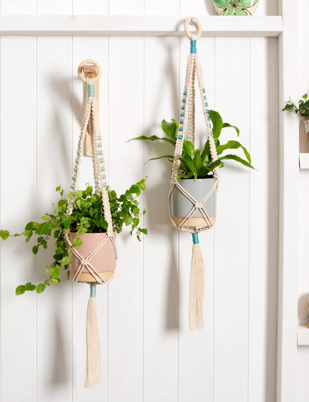 DIY Macrame Plant Hanger Kit 2-in-1 Kit, Enchanting Duo Plant