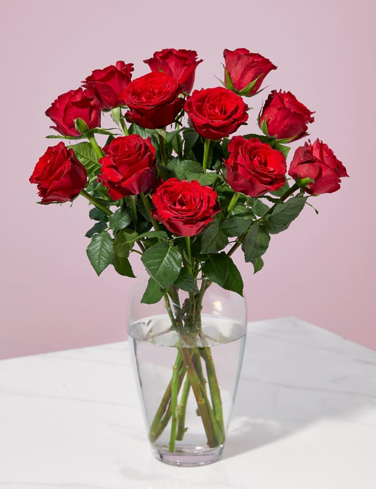 Valentine's Dozen Red Rose Bouquet 1 of 5