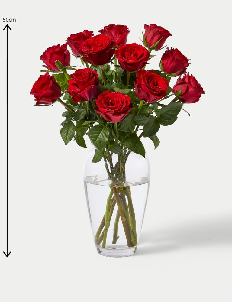 Valentine's Dozen Red Rose Bouquet 5 of 5
