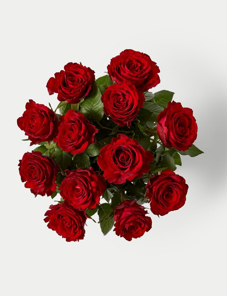 Valentine's Dozen Red Rose Bouquet 2 of 5
