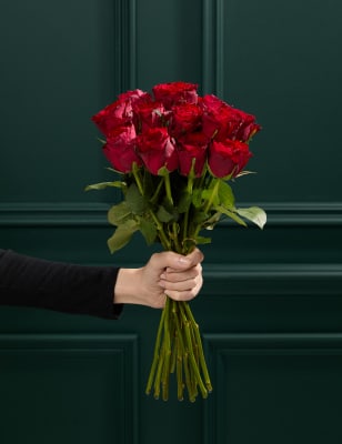 Valentine S Dozen Red Roses M S