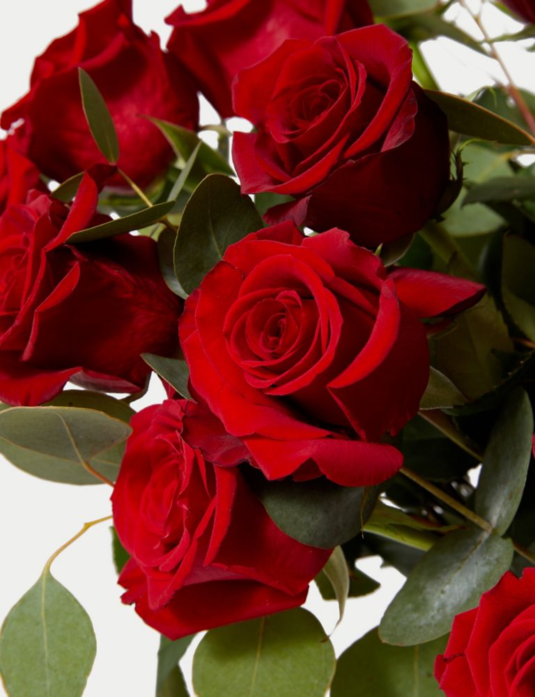 Valentine's Freedom ™ Rose & Eucalyptus Bouquet 4 of 5
