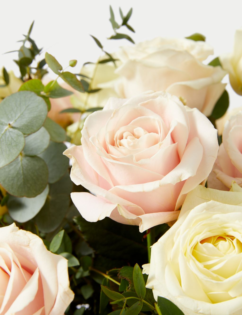 Valentine's Pastel Rose Bouquet 4 of 5