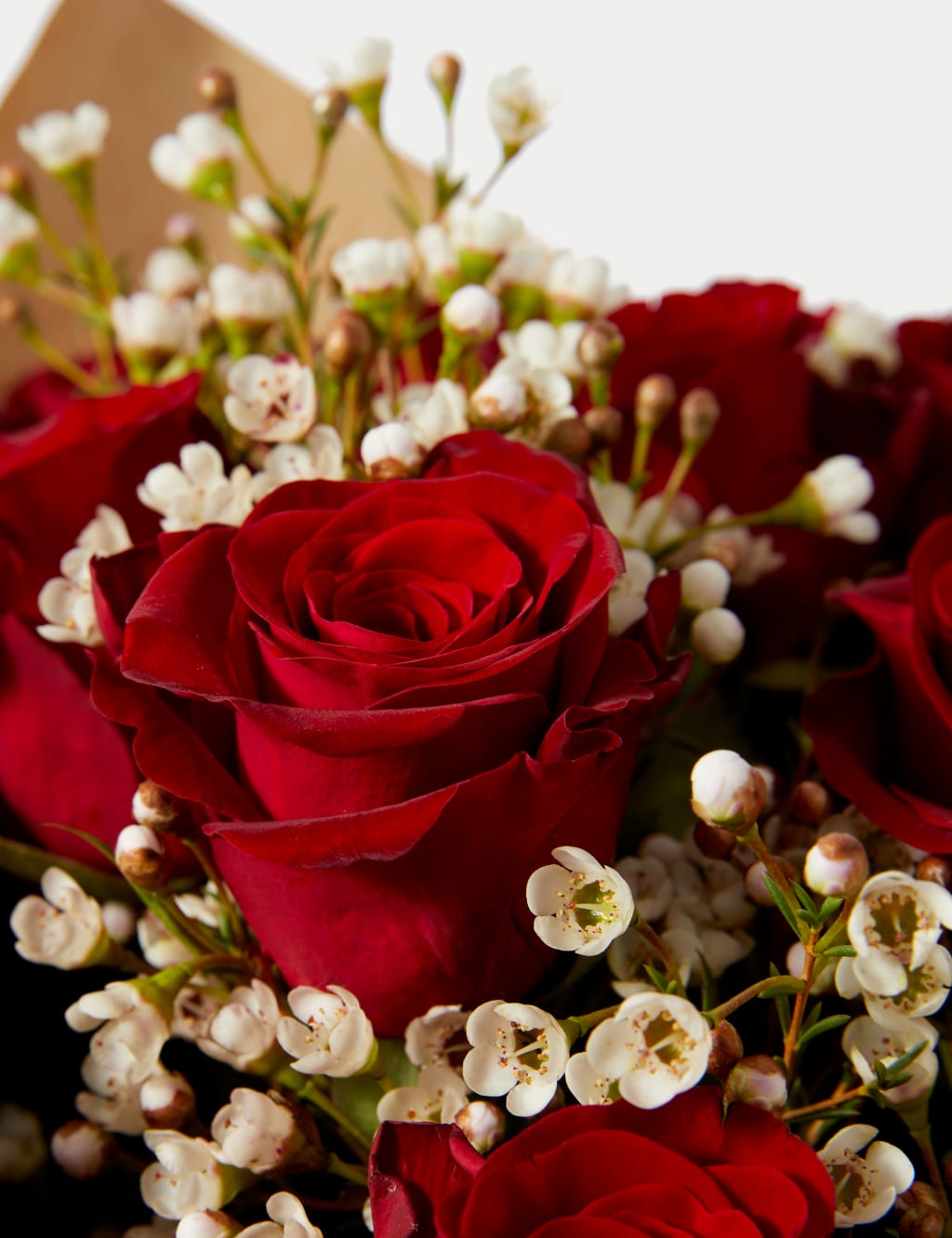 Valentine s Red Rose Gift Bag M S