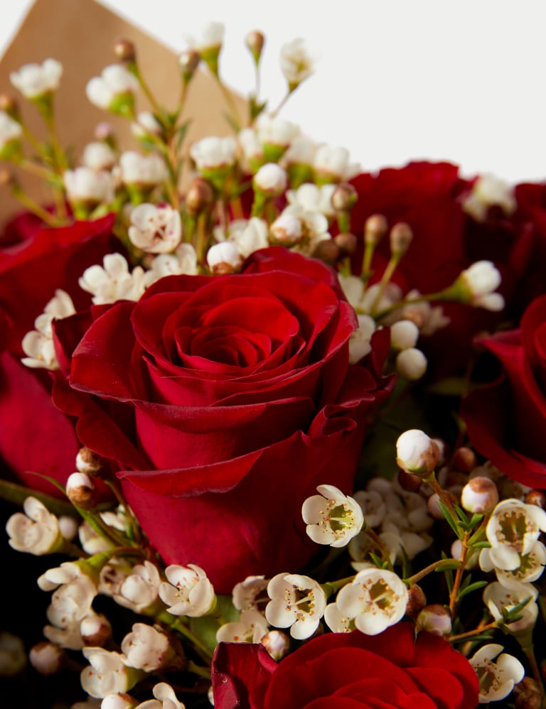  Red Roses- 50 Fresh Flowers- Beautiful Gift : Grocery &  Gourmet Food