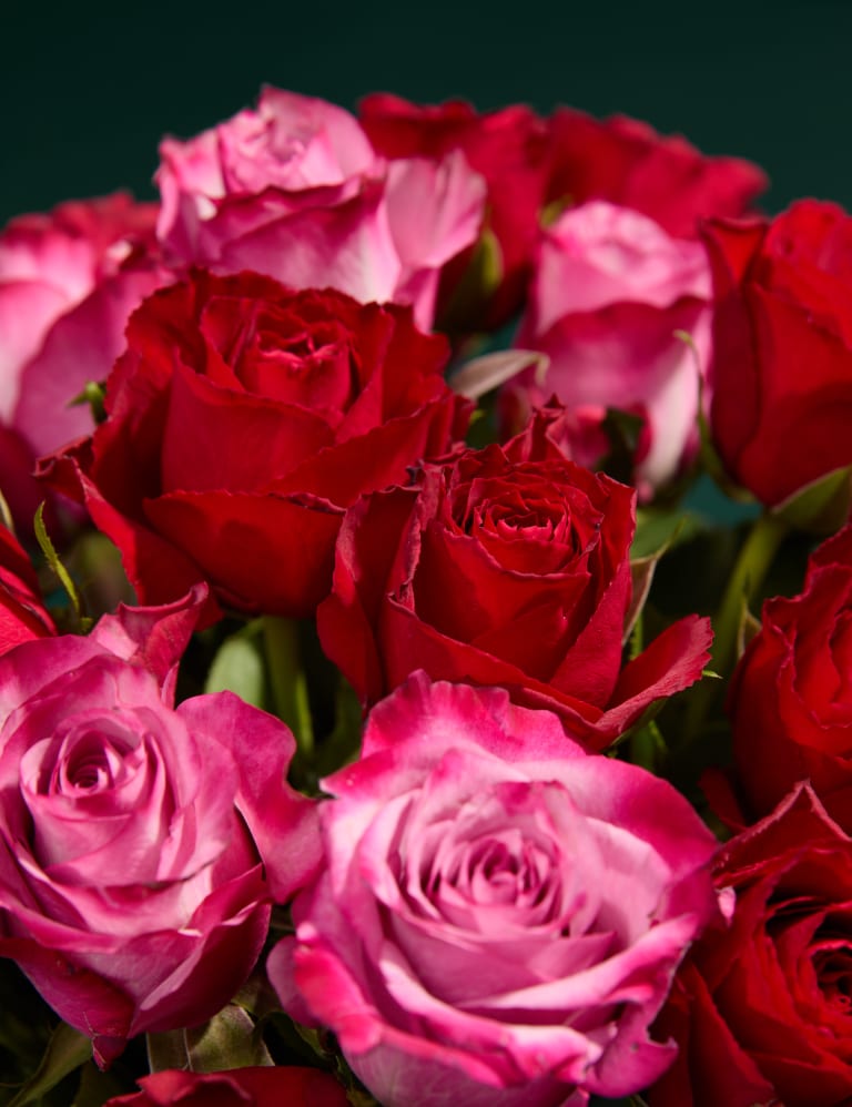 Valentine s Rose Gift Bag M S