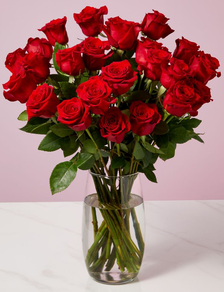 Valentine's Two Dozen Freedom™ Rose Bouquet | M&S