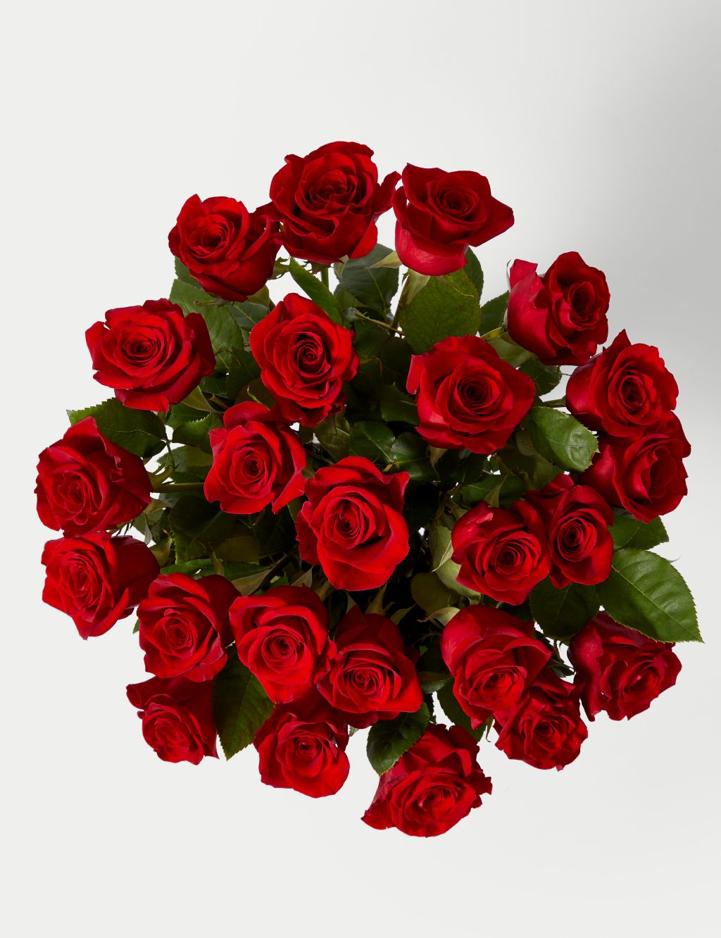 Valentine's Two Dozen Freedom™ Rose Bouquet 1 of 4