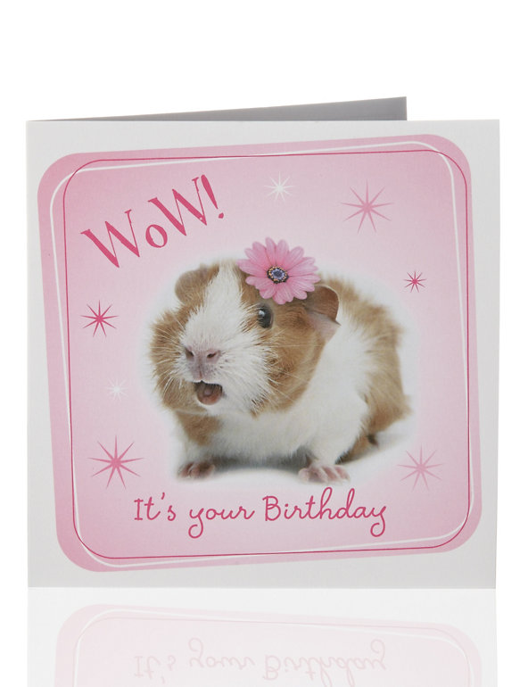 Value Photographic Guinea Pig Kids Birthday Card Image 1 of 2
