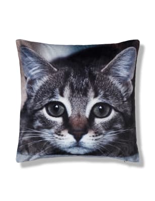 Cat store print cushion