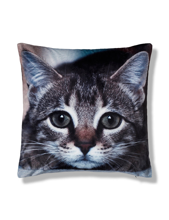 Velvet Cat Print Cushion Image 1 of 2