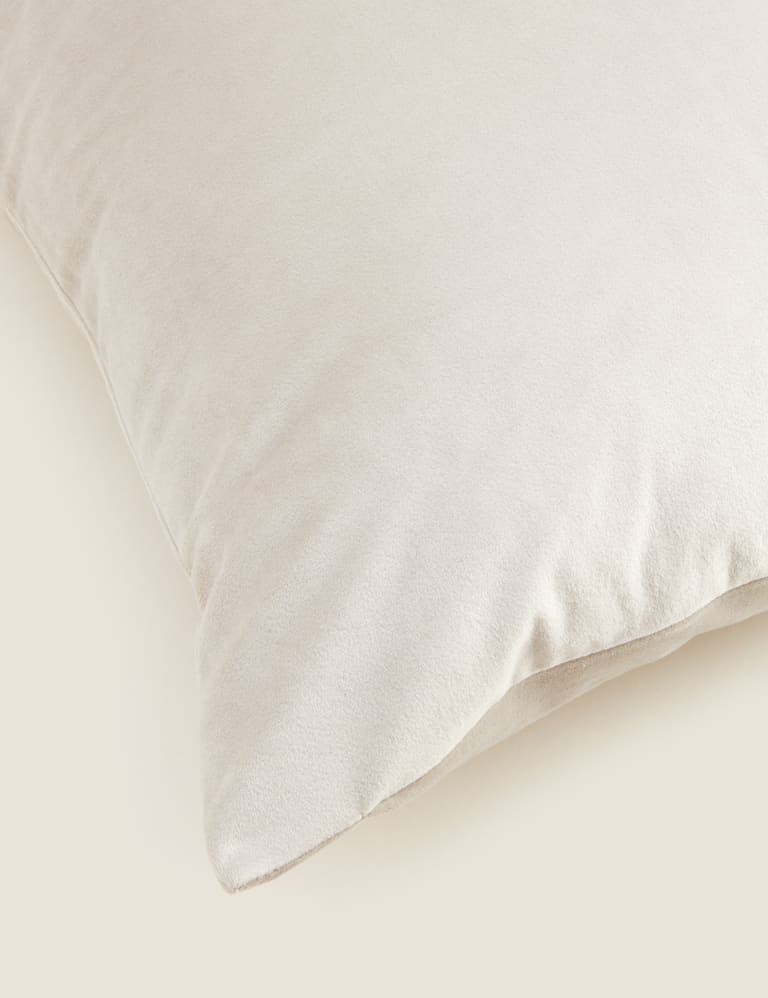 Velvet Cushion 4 of 6