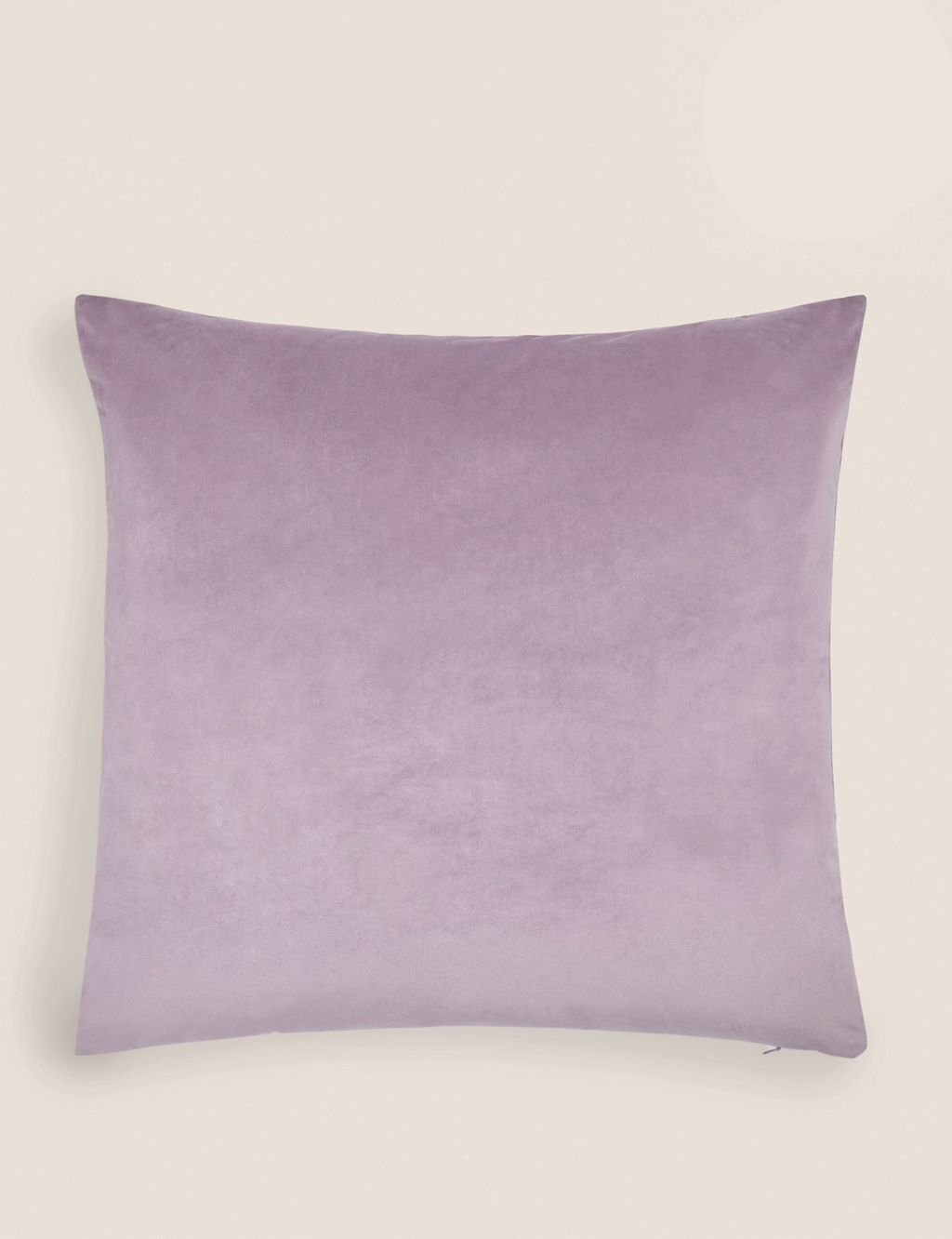 Velvet Cushion 3 of 5