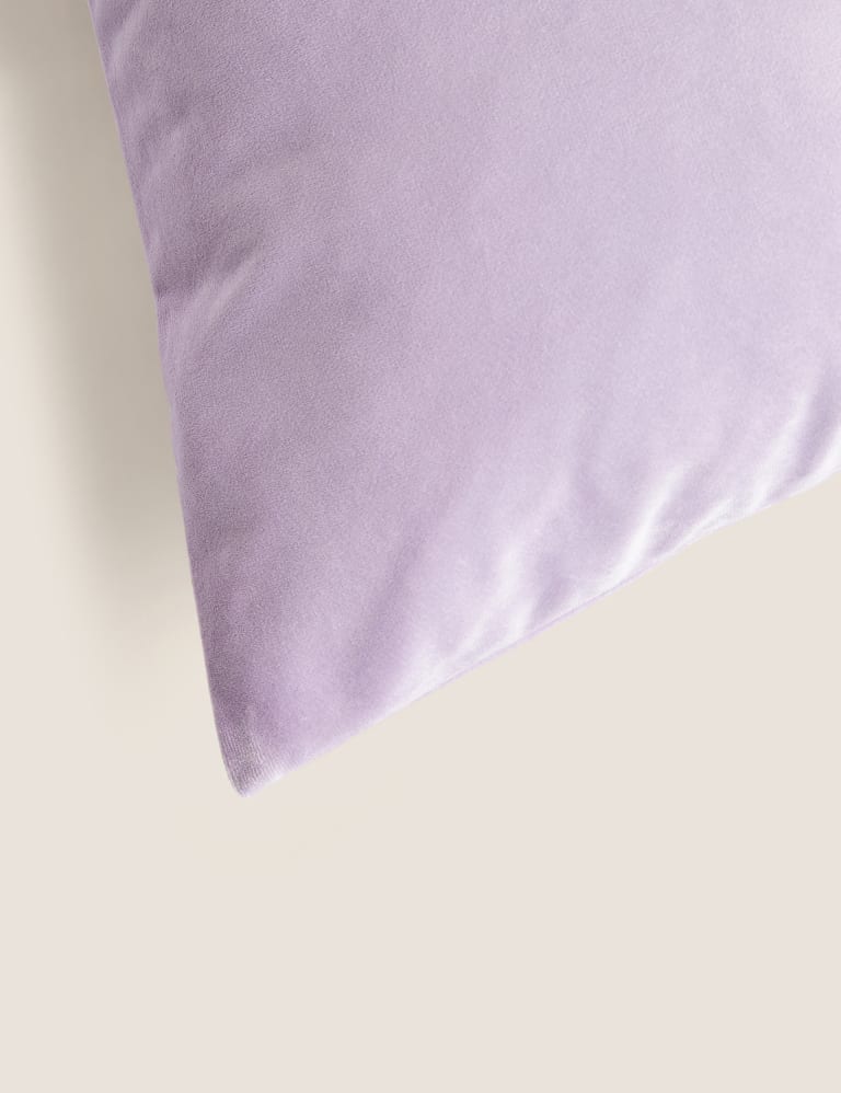 Velvet Cushion M S Collection M S
