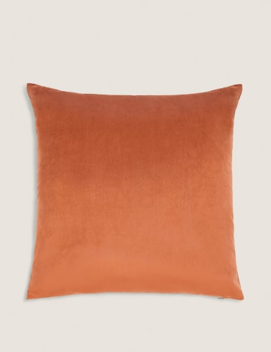 Velvet Cushion 1 of 5