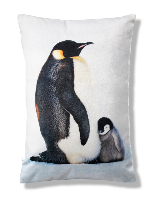 Velvet Penguins Print Cushion Image 1 of 1
