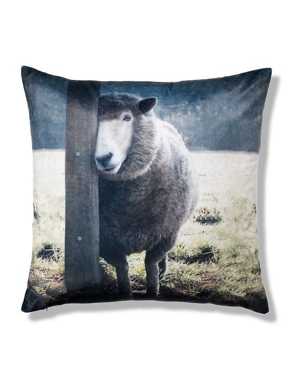 Velvet Sheep Print Cushion Image 1 of 1