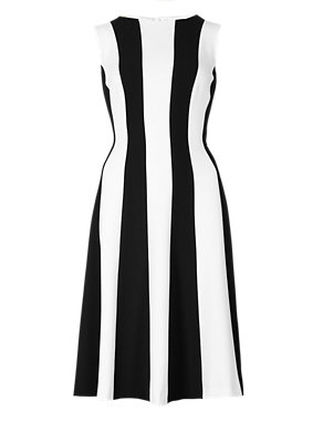 Vertical Striped Skater Dress Image 2 of 4
