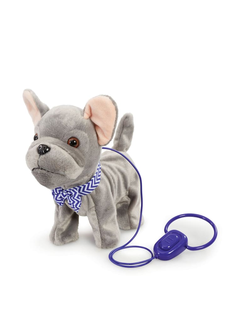 Happy pets walk along puppy sales