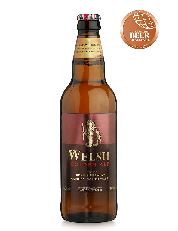 Welsh Golden Ale - Case of 20 Image 1 of 1