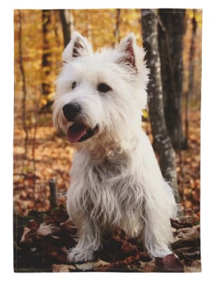 dog print tea towels