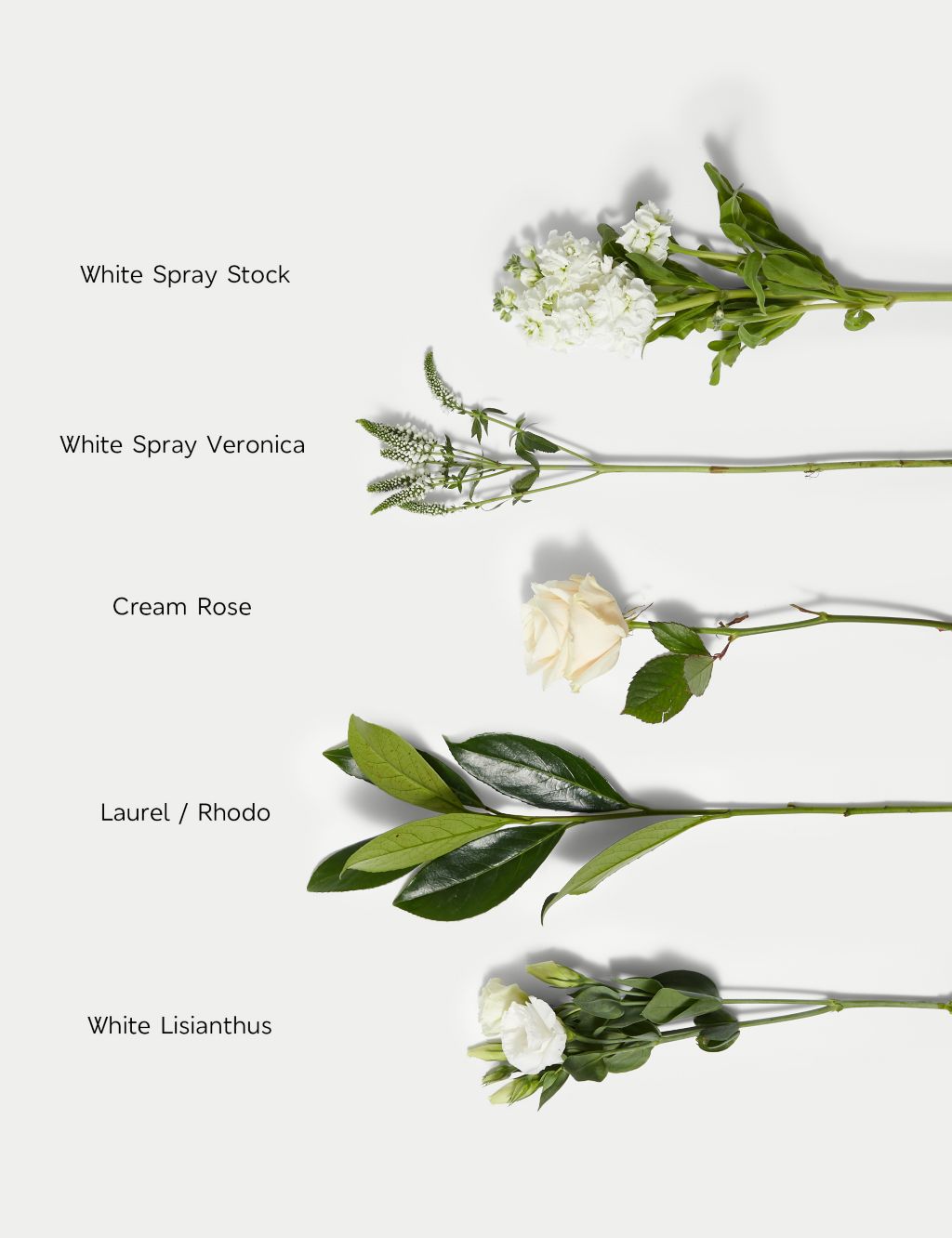 White Bouquet Rose, Lisianthus & Stock 4 of 7