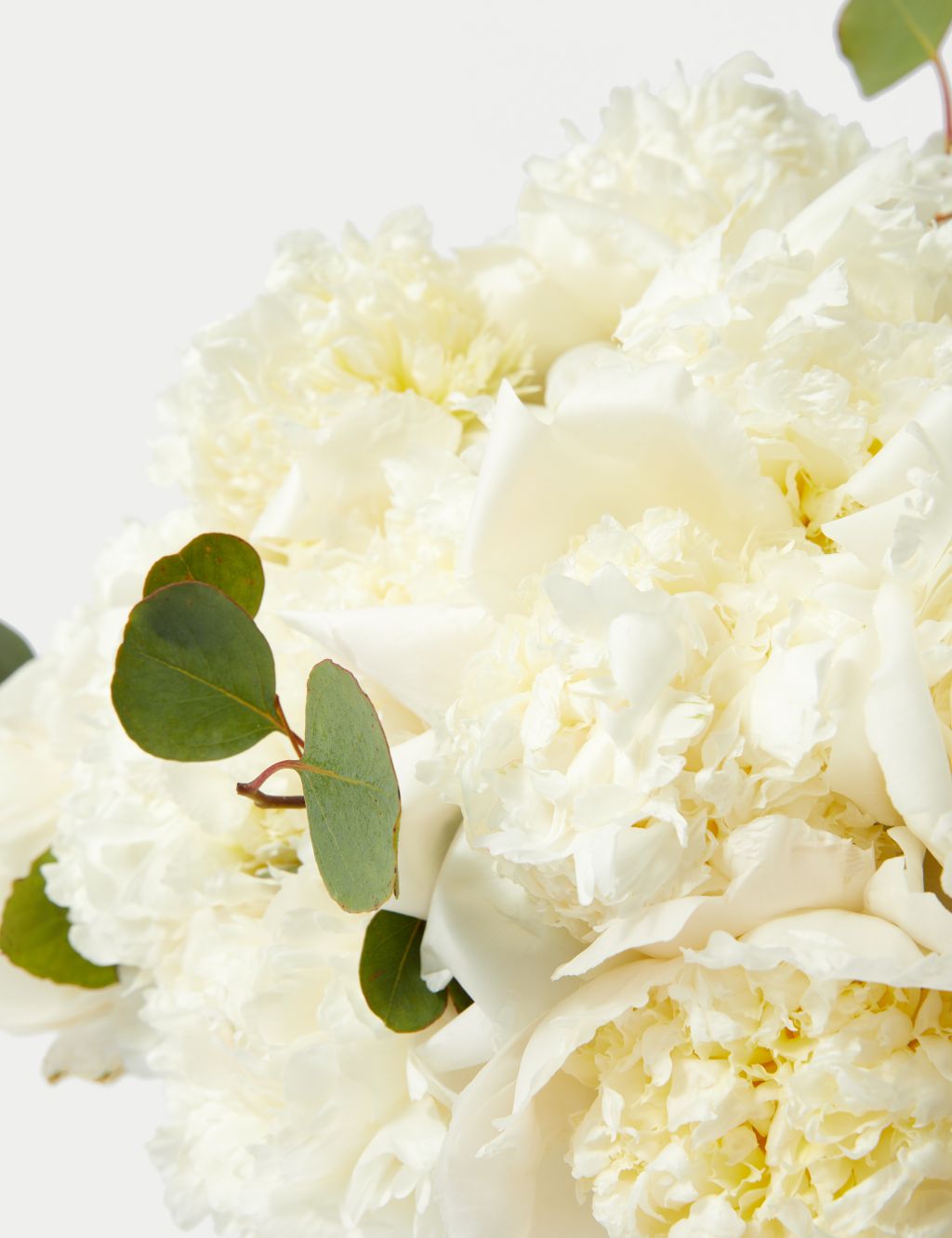White Peony Flowers Bouquet 4 of 5