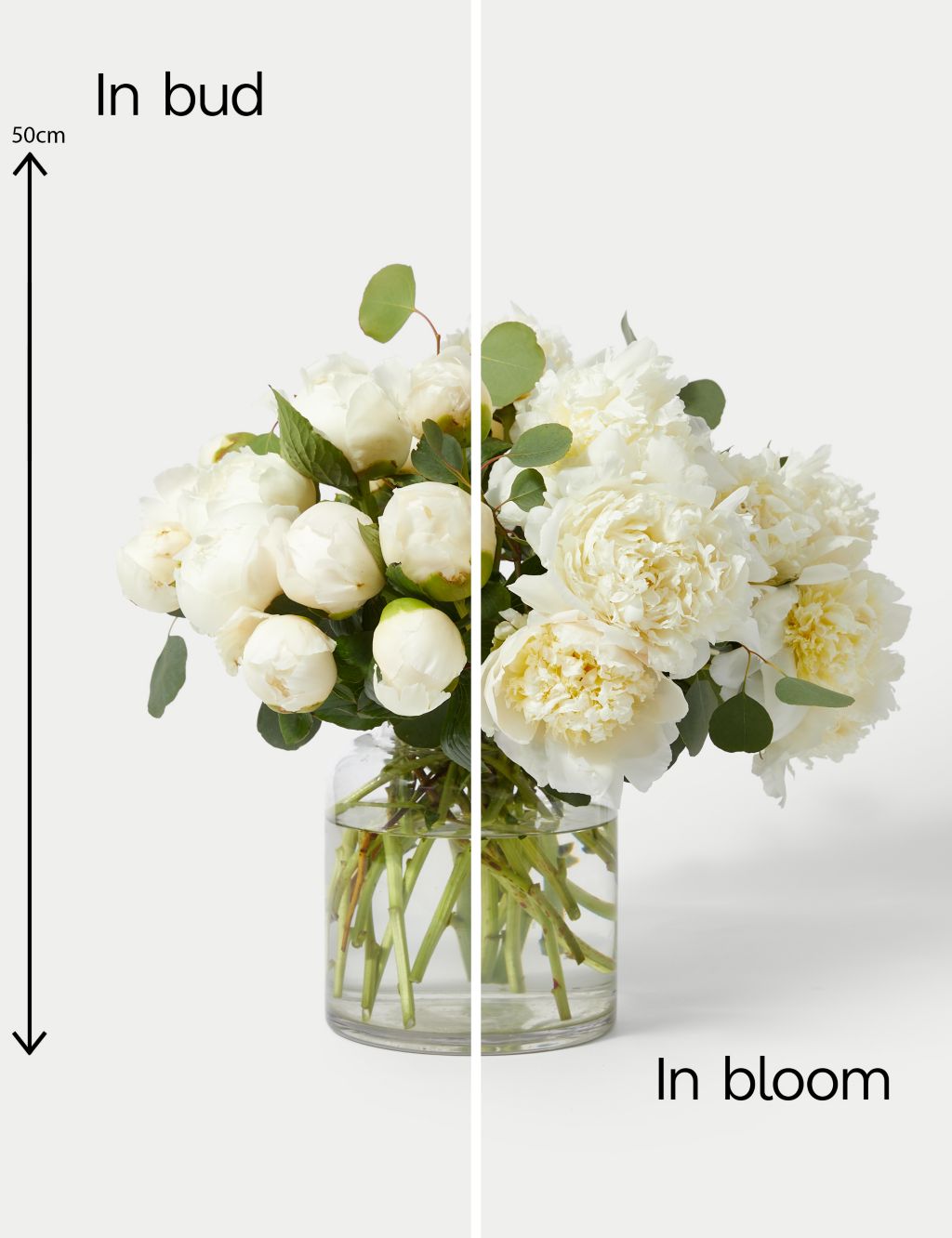 White Peony Flowers Bouquet 5 of 5
