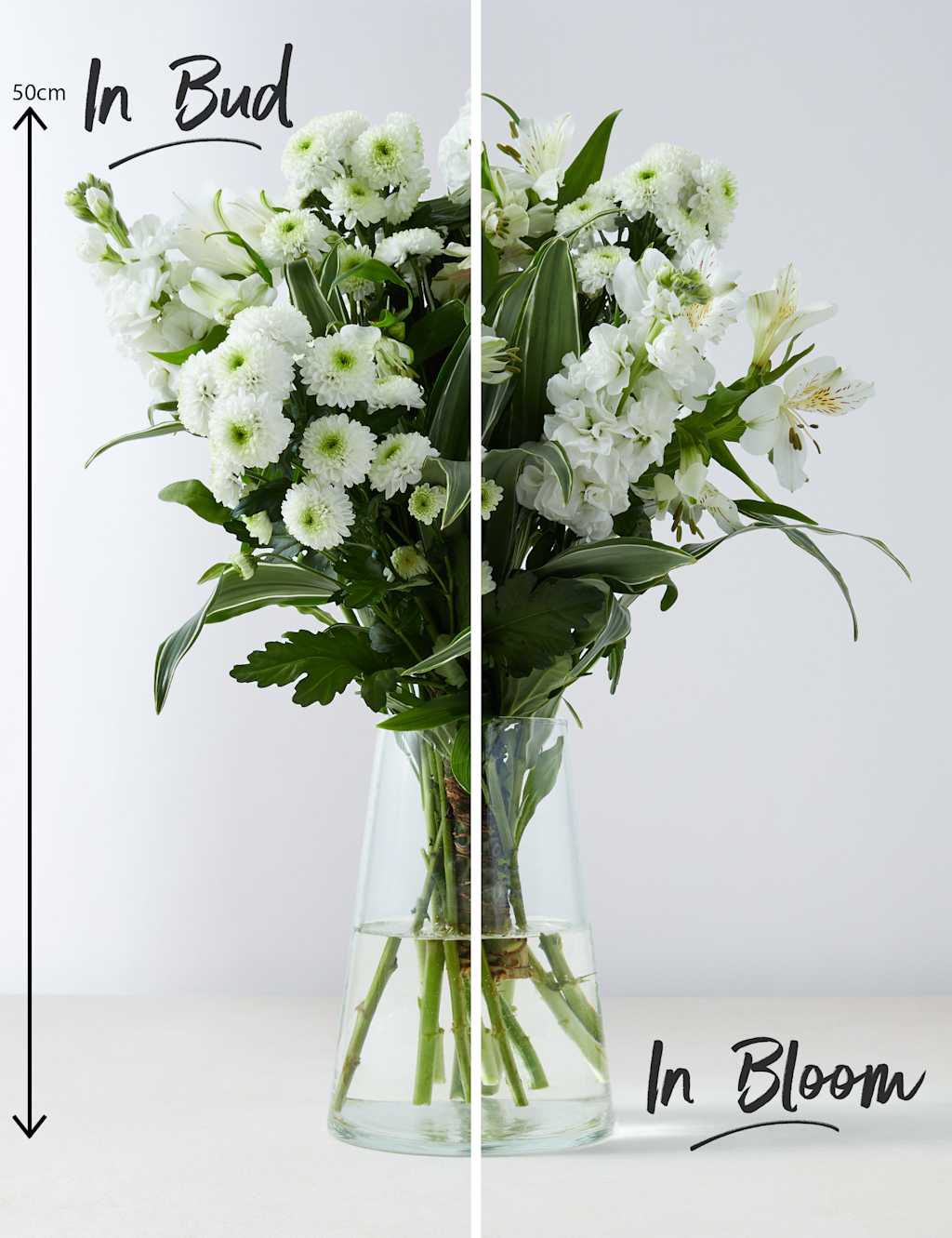 White Spring Letterbox M&S