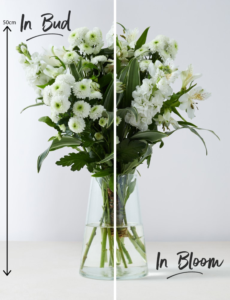 M&s store letterbox flowers
