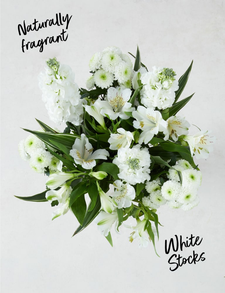 White Spring Letterbox M S
