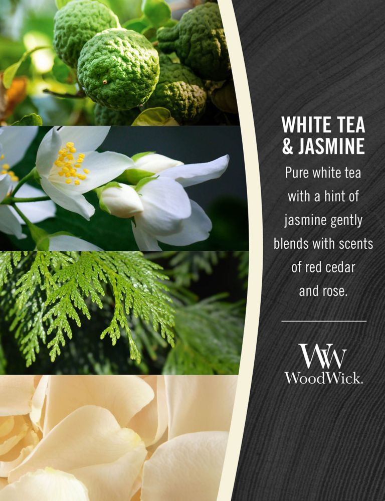 White Tea & Jasmine Scented Candle with Crackle Wick 3 of 4